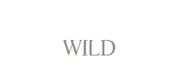 Savannah Wild